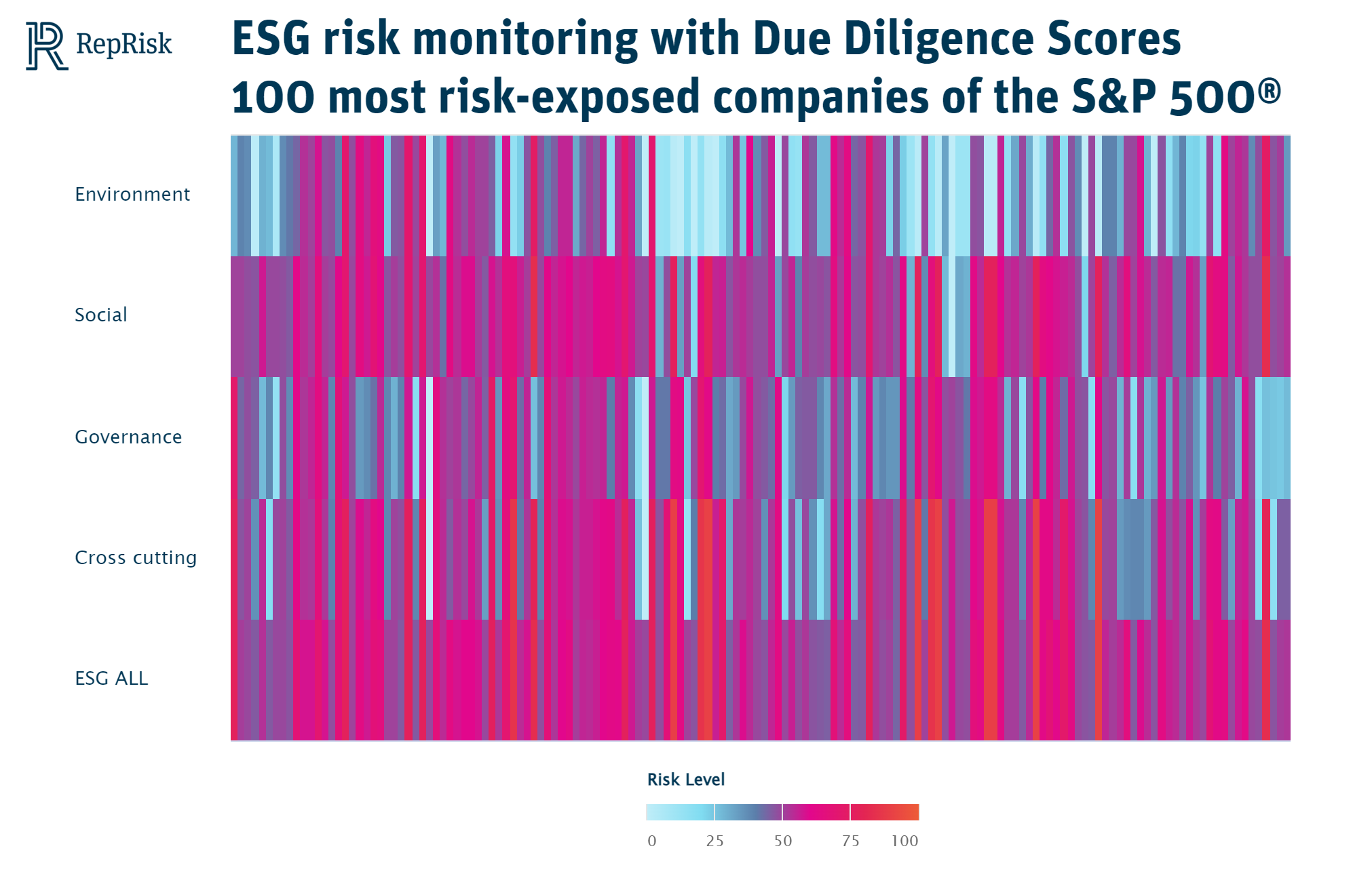 S&P 500 Top 100 Risk Exposed Companies